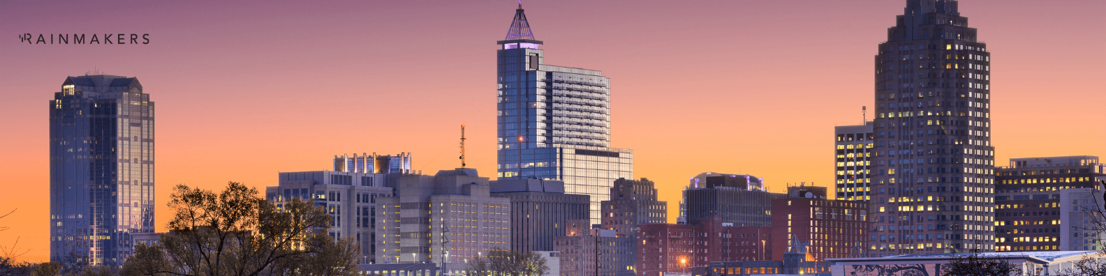 3-Raleigh-Tech-Sales-Management